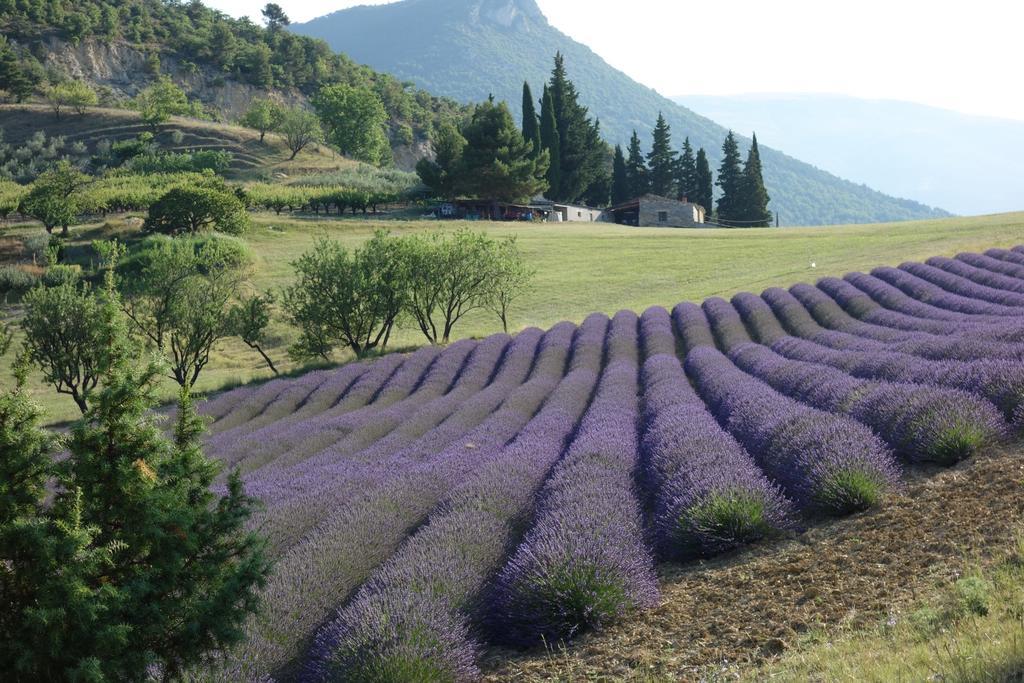Appartamento Le Chambron Condorcet Esterno foto