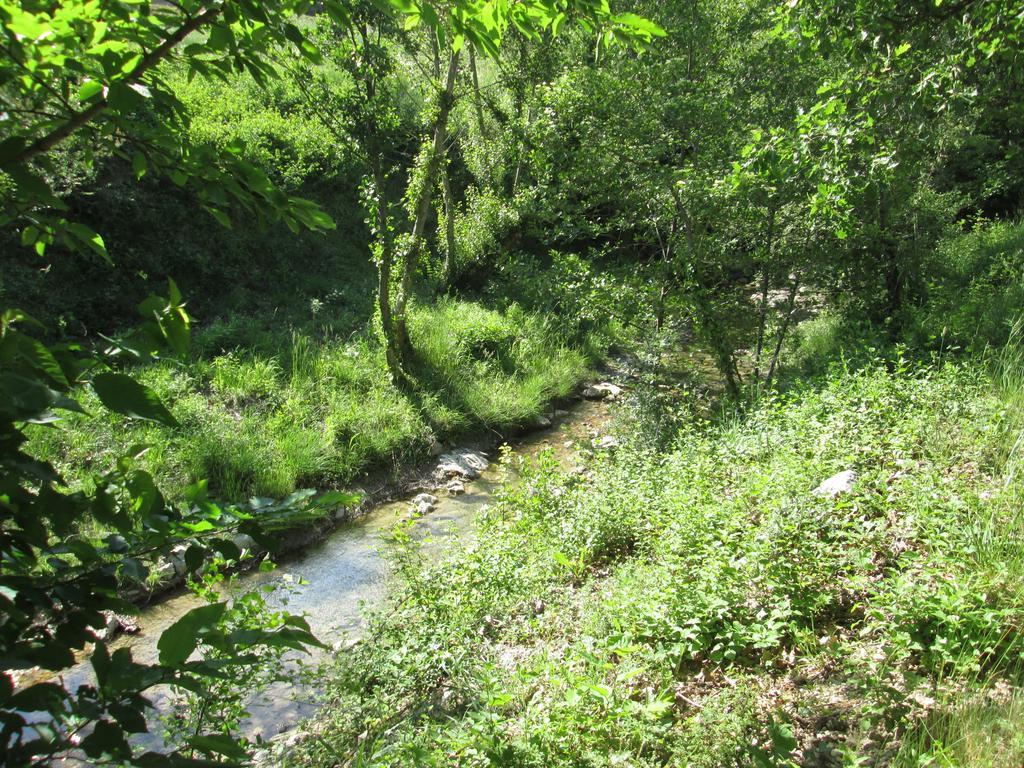 Appartamento Le Chambron Condorcet Esterno foto